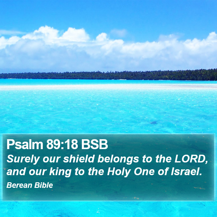 Psalms 89:18 BSB Bible Study