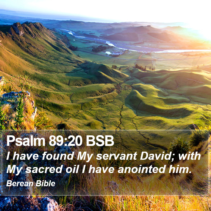 Psalms 89:20 BSB Bible Study