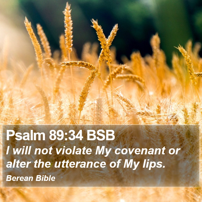 Psalms 89:34 BSB Bible Study