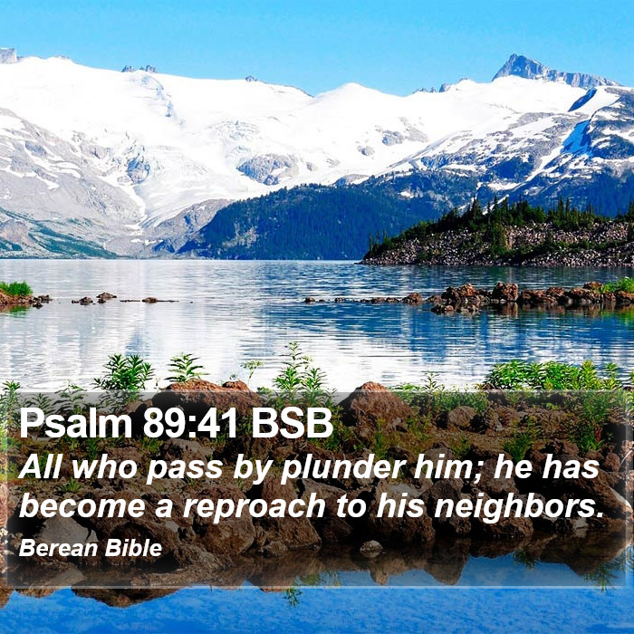 Psalms 89:41 BSB Bible Study