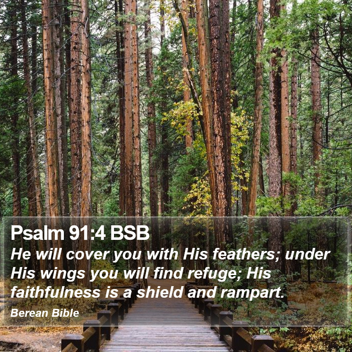 Psalms 91:4 BSB Bible Study