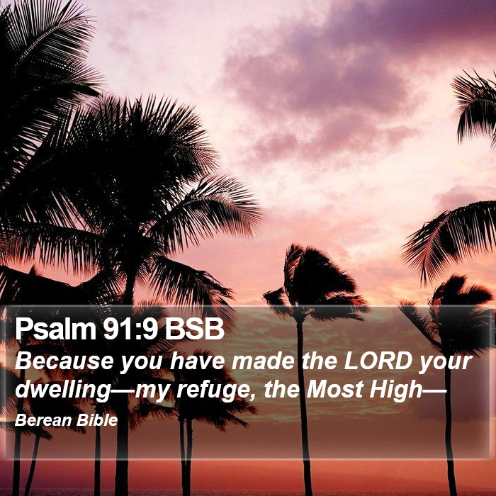 Psalms 91:9 BSB Bible Study