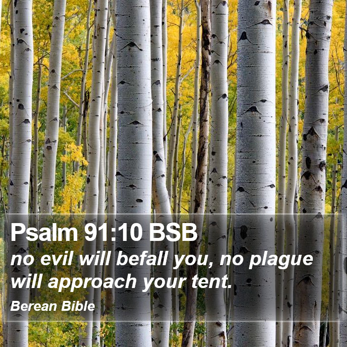 Psalms 91:10 BSB Bible Study