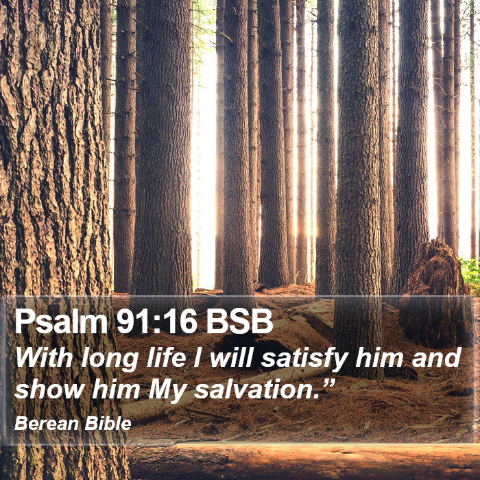 Psalms 91:16 BSB Bible Study