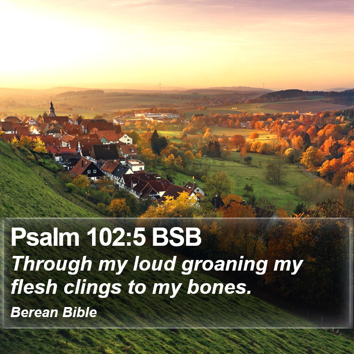 Psalms 102:5 BSB Bible Study