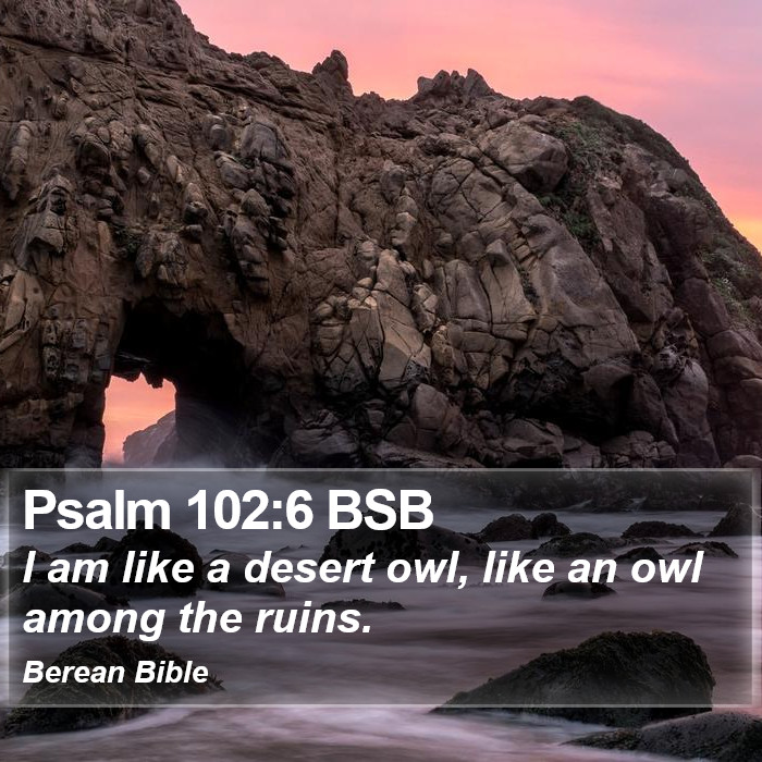 Psalms 102:6 BSB Bible Study