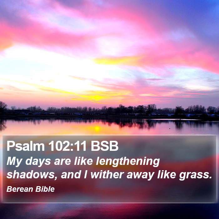 Psalms 102:11 BSB Bible Study