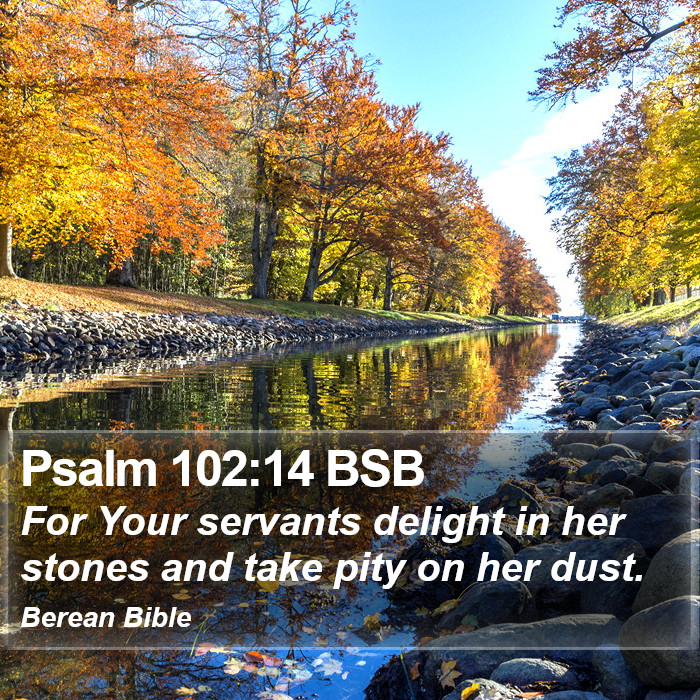 Psalms 102:14 BSB Bible Study