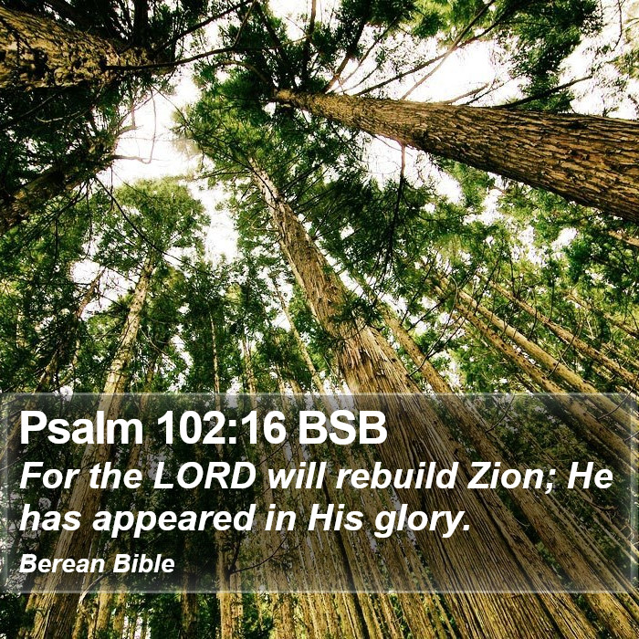 Psalms 102:16 BSB Bible Study