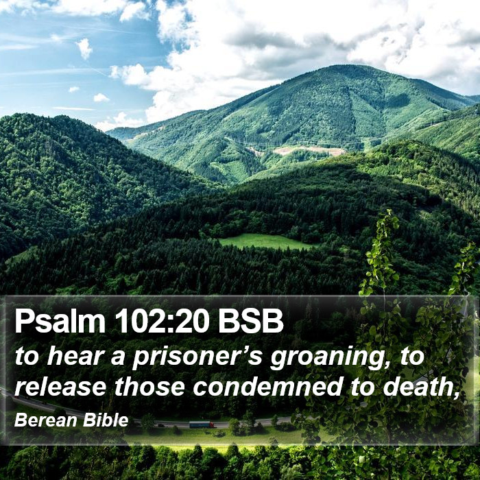 Psalms 102:20 BSB Bible Study