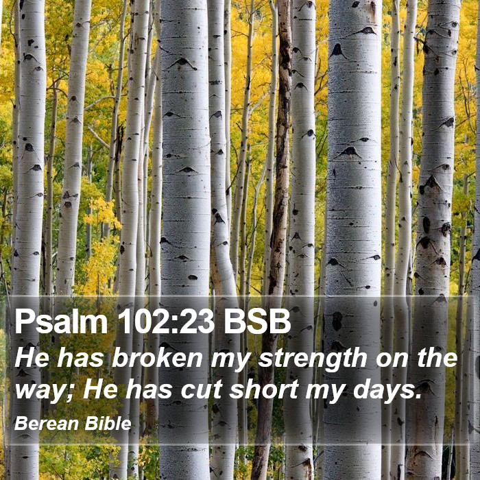 Psalms 102:23 BSB Bible Study