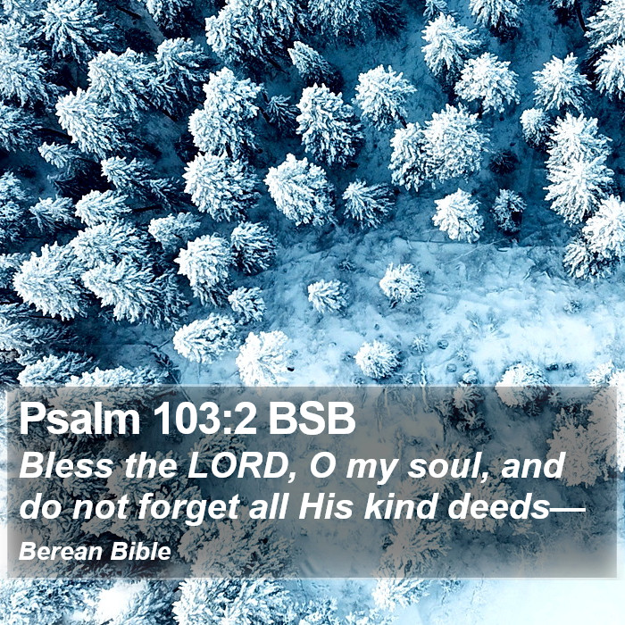 Psalms 103:2 BSB Bible Study