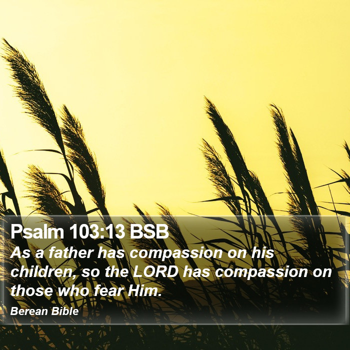 Psalms 103:13 BSB Bible Study