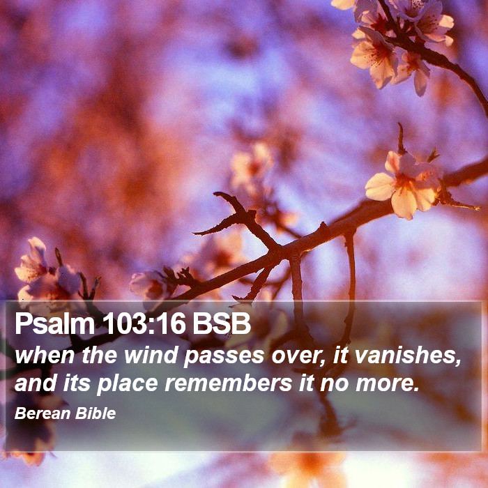 Psalms 103:16 BSB Bible Study