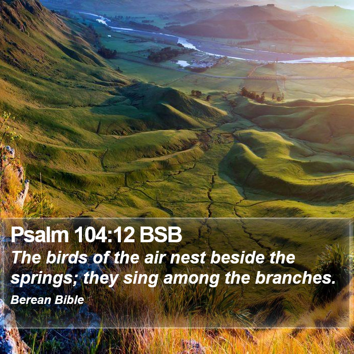 Psalms 104:12 BSB Bible Study