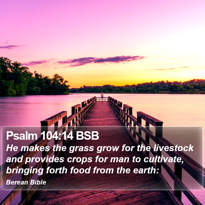 Psalms 104:14 BSB Bible Study