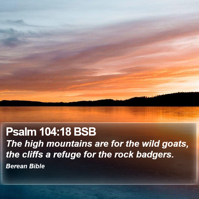 Psalms 104:18 BSB Bible Study