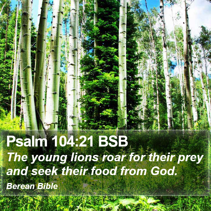 Psalms 104:21 BSB Bible Study