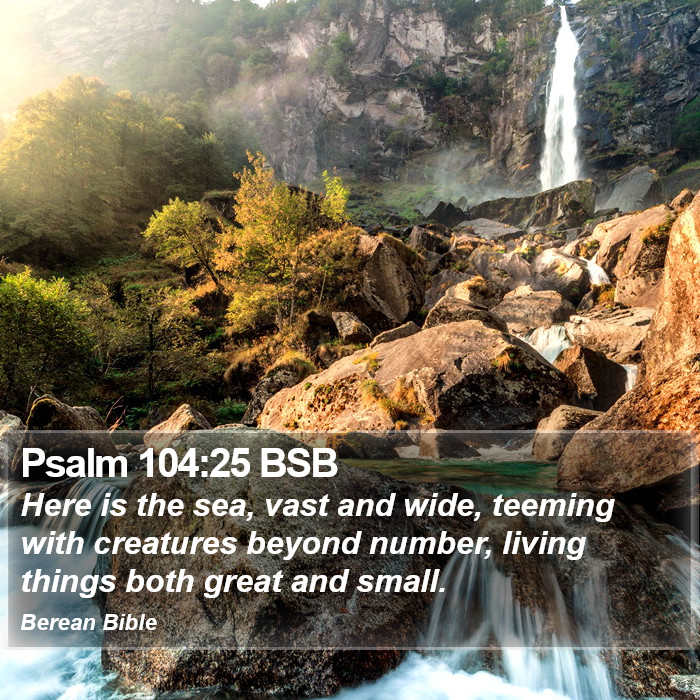 Psalms 104:25 BSB Bible Study