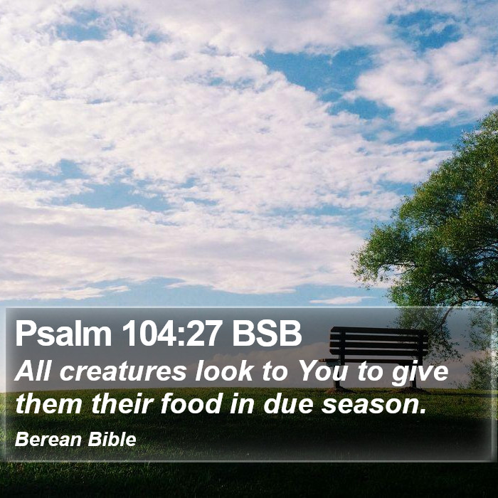 Psalms 104:27 BSB Bible Study