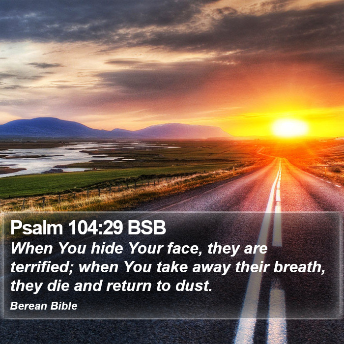 Psalms 104:29 BSB Bible Study