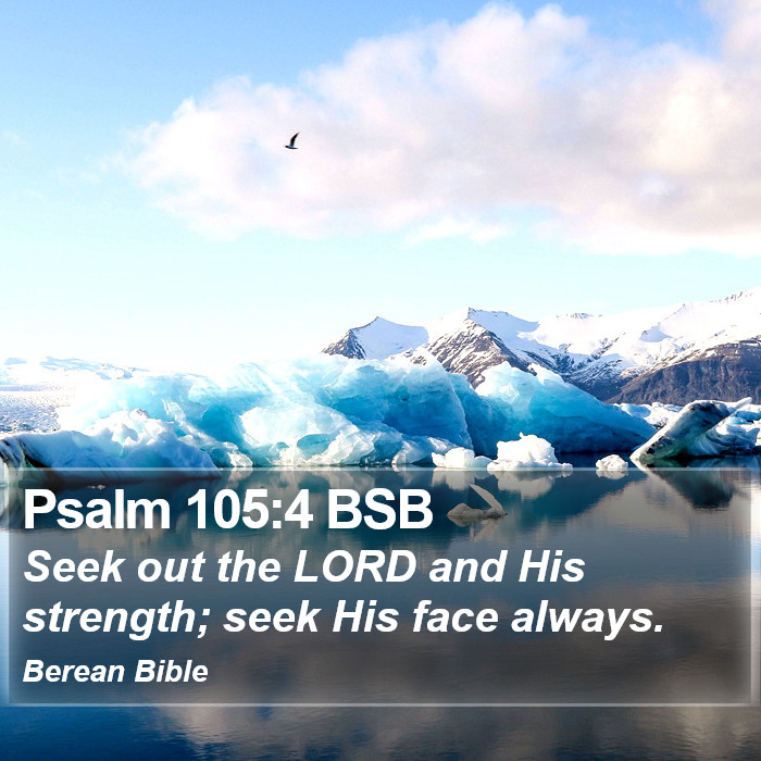 Psalms 105:4 BSB Bible Study