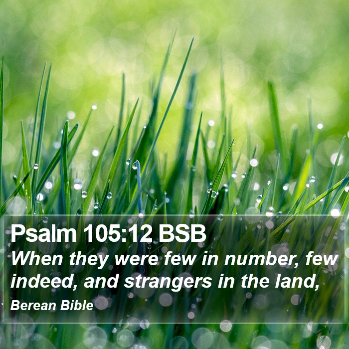 Psalms 105:12 BSB Bible Study