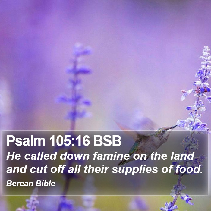 Psalms 105:16 BSB Bible Study