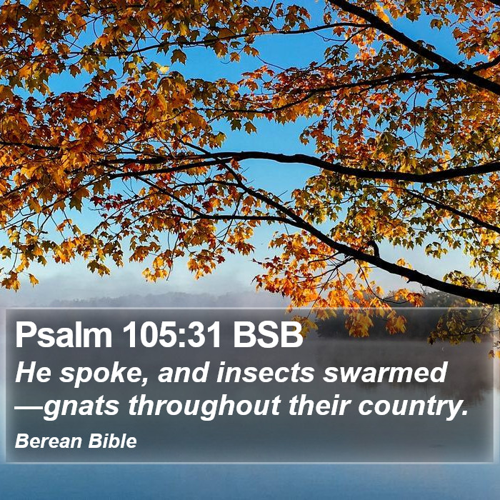 Psalms 105:31 BSB Bible Study