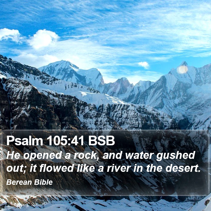 Psalms 105:41 BSB Bible Study