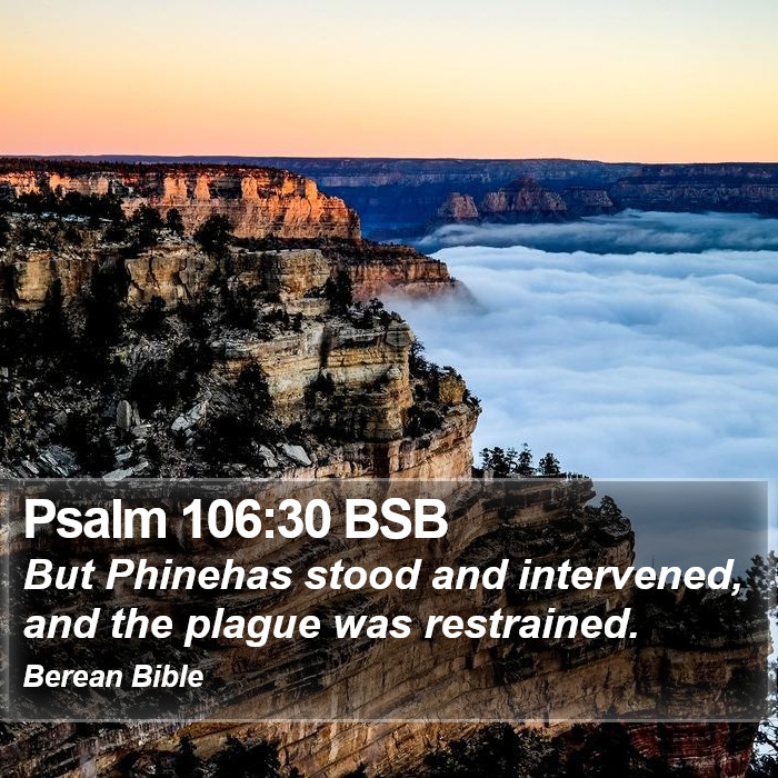 Psalms 106:30 BSB Bible Study