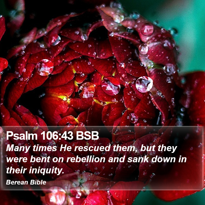 Psalms 106:43 BSB Bible Study