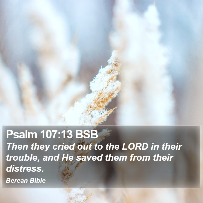 Psalms 107:13 BSB Bible Study