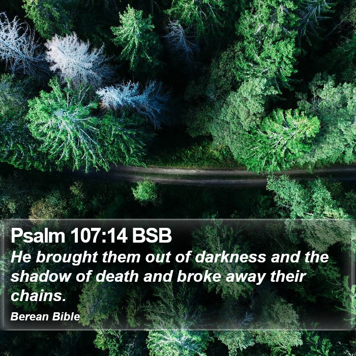 Psalms 107:14 BSB Bible Study