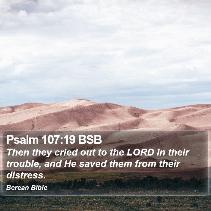 Psalms 107:19 BSB Bible Study