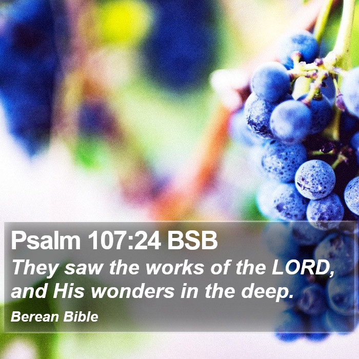 Psalms 107:24 BSB Bible Study