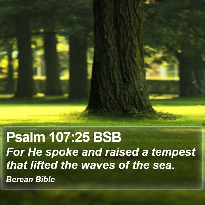 Psalms 107:25 BSB Bible Study