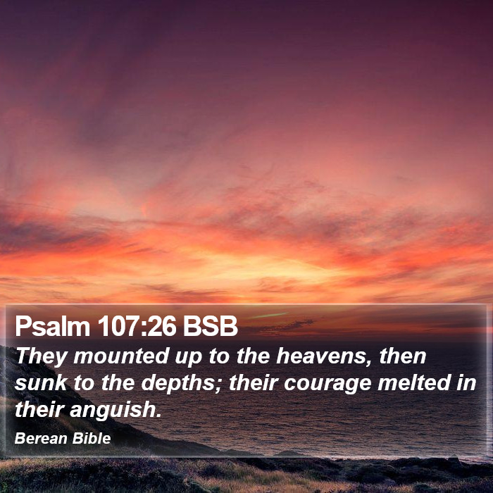 Psalms 107:26 BSB Bible Study