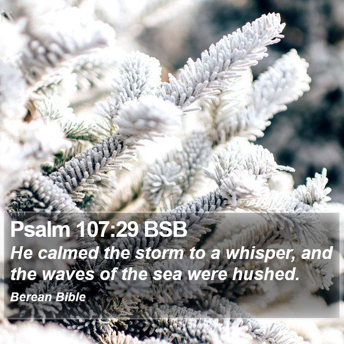 Psalms 107:29 BSB Bible Study