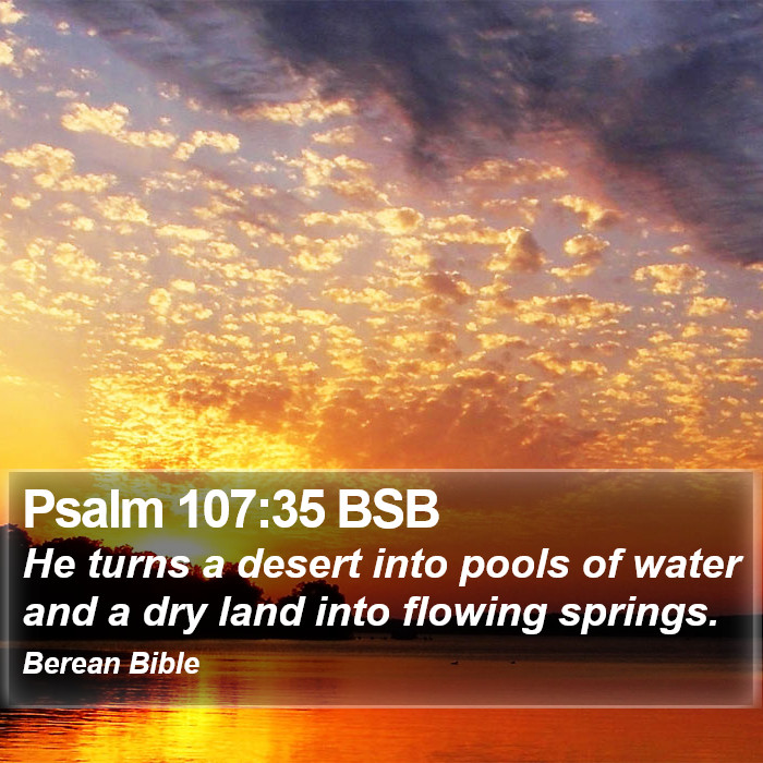 Psalms 107:35 BSB Bible Study