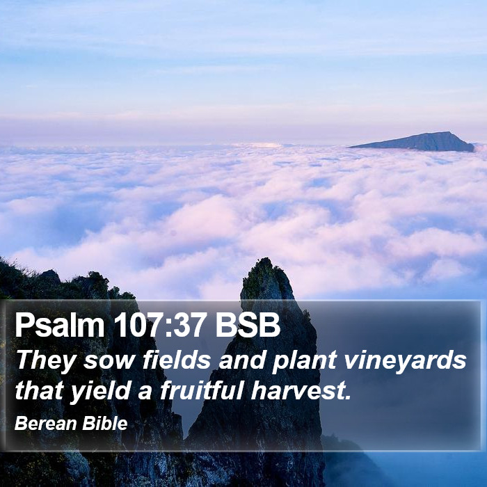 Psalms 107:37 BSB Bible Study