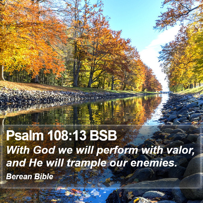 Psalms 108:13 BSB Bible Study