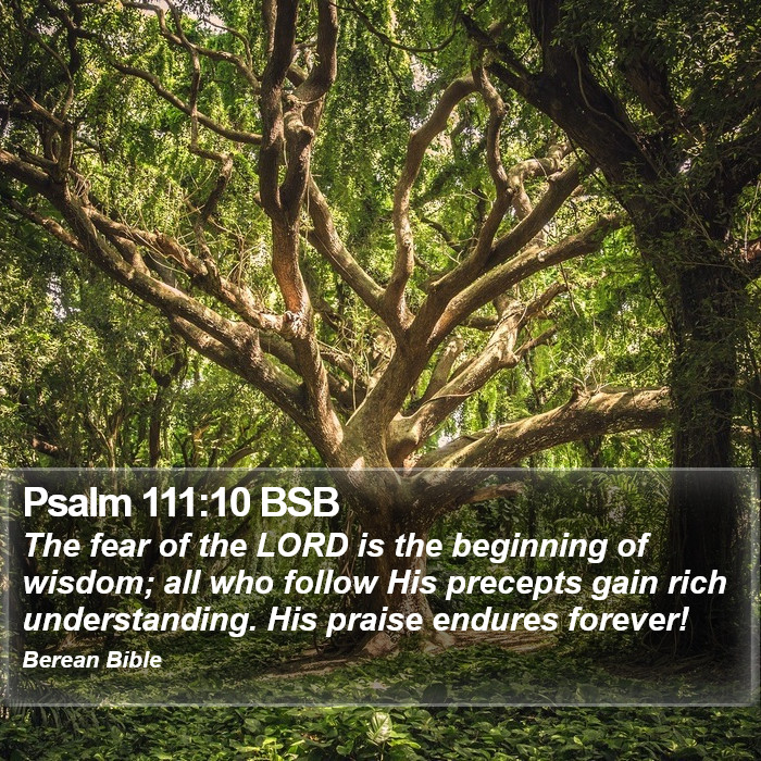 Psalms 111:10 BSB Bible Study