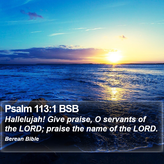 Psalms 113:1 BSB Bible Study