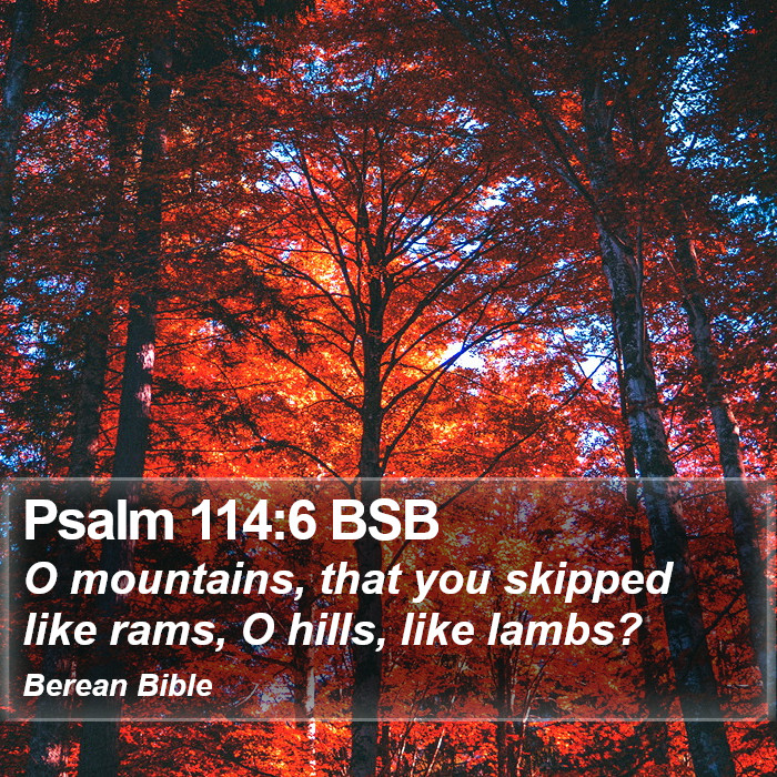 Psalms 114:6 BSB Bible Study