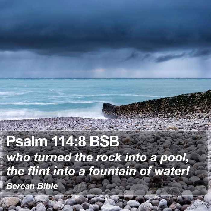 Psalms 114:8 BSB Bible Study