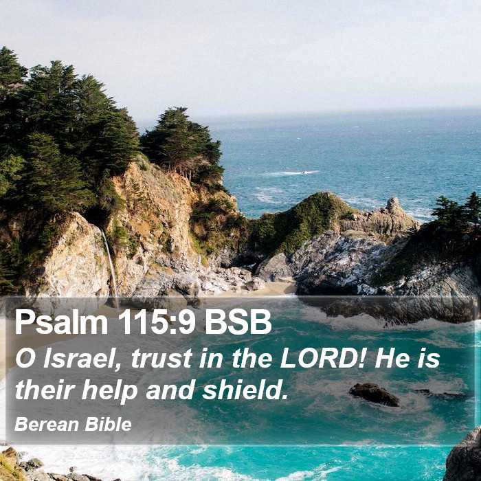 Psalms 115:9 BSB Bible Study