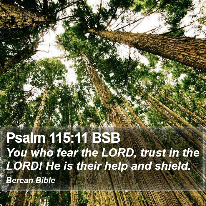 Psalms 115:11 BSB Bible Study