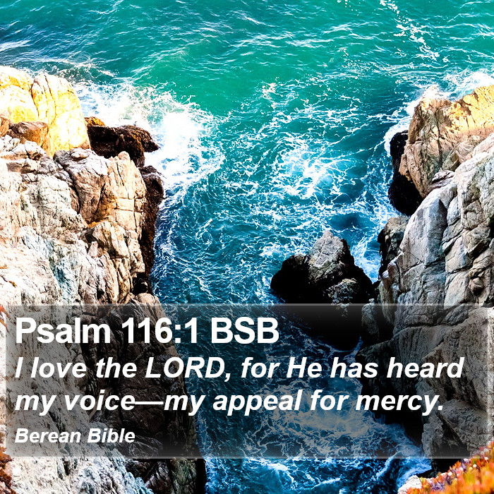 Psalms 116:1 BSB Bible Study