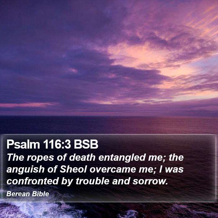 Psalms 116:3 BSB Bible Study